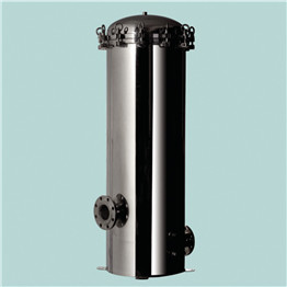Swing-Bolt-Closure-SS-Housings