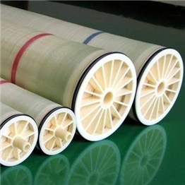 Toray membranes 