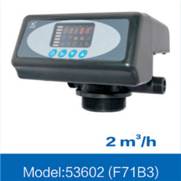  Automatic Filter Valve 